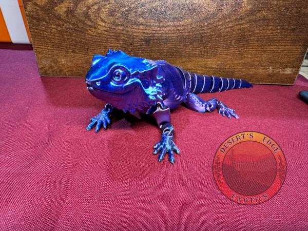 Bearded Dragon